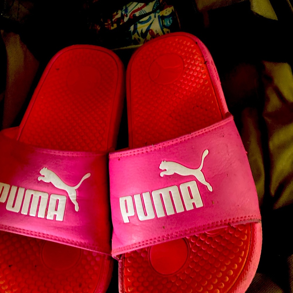 Puma slides